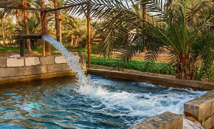 واحة الأحساء السعودية... ستستقبل منتجع صحي تحت ظلال أشجارها العتيقة!
